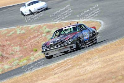 media/May-06-2023-Lucky Dog Racing (Sat) [[8f2256f436]]/Turn 2 10a/